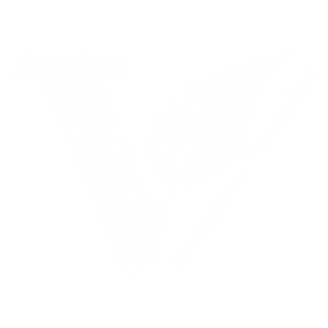 logo Varennes Vauzelles